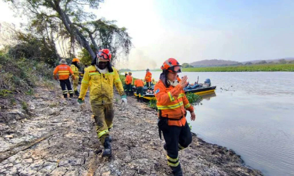 combate aos incêndios florestais levou a decreto de emergência ambiental brigadas psa