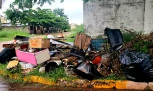 Leia mais sobre o artigo Vereadora cobra melhorias na coleta de lixo e questiona taxa aplicada em Corumbá