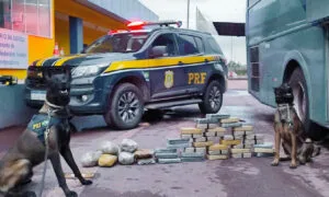 Leia mais sobre o artigo PRF apreende 36,5 kg de cocaína com ajuda de cães farejadores em Corumbá