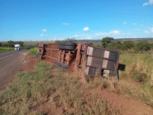 Leia mais sobre o artigo Carreta carregada de gado tomba em rodovia entre Nova Andradina e Bataguassu