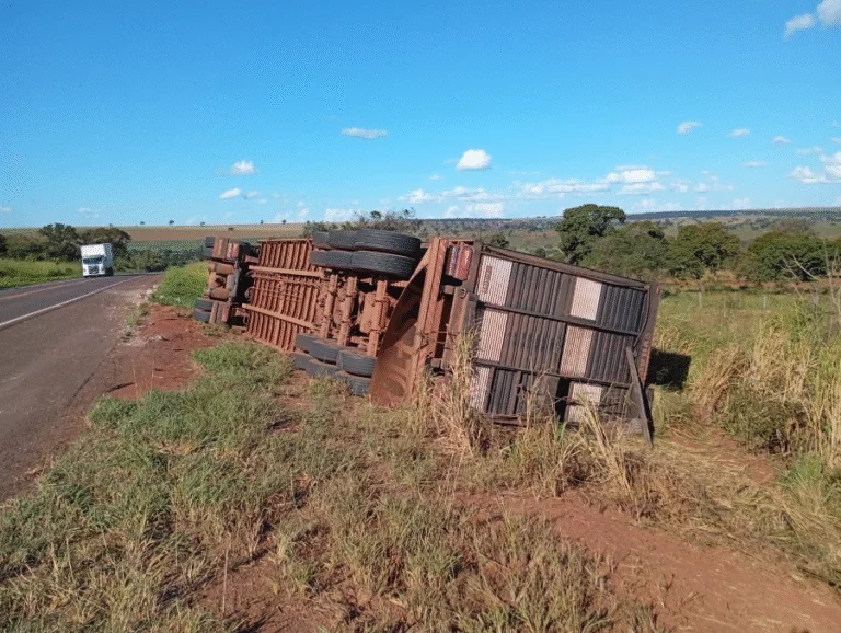 Carreta carregada de gado tomba em rodovia entre Nova Andradina e Bataguassu