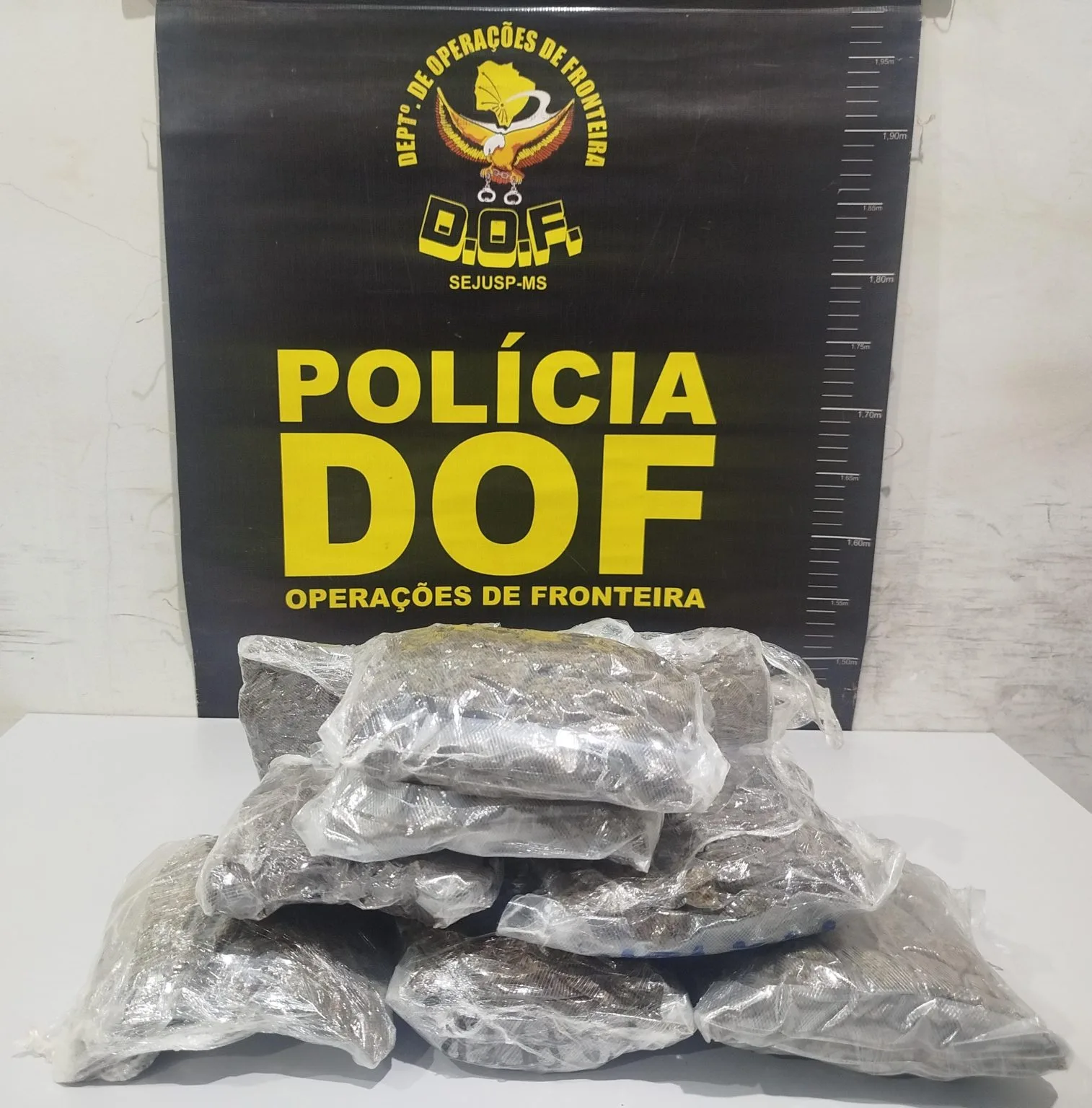 Leia mais sobre o artigo Mulher é presa com skunk preso ao corpo em corrida de aplicativo em Maracaju