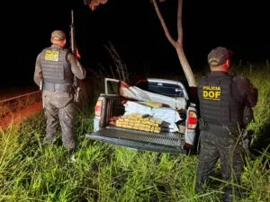 Leia mais sobre o artigo Mais de 400 kg de maconha são apreendidos pelo DOF em Ponta Porã