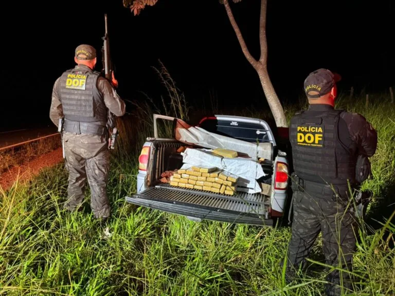 Mais de 400 kg de maconha são apreendidos pelo DOF em Ponta Porã