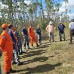 Bombeiros de MS poderão aplicar estratégias dos EUA contra incêndios florestais