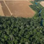 Senado decide nesta semana futuro da Lei Geral do Licenciamento Ambiental