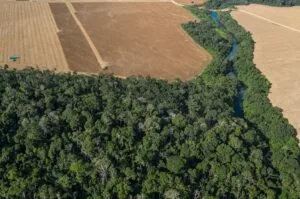 Leia mais sobre o artigo Senado decide nesta semana futuro da Lei Geral do Licenciamento Ambiental