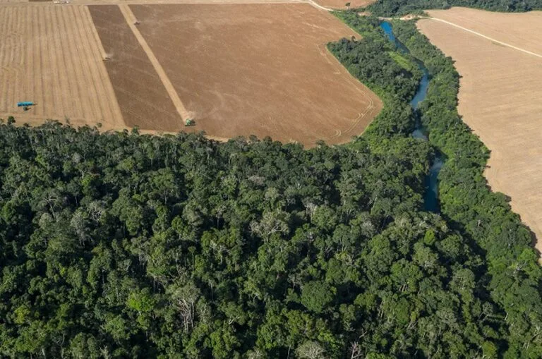 Senado decide nesta semana futuro da Lei Geral do Licenciamento Ambiental