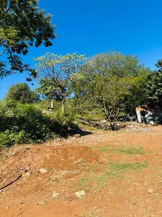 Vereadora solicita obras para contenção de encosta no Cristo Redentor 2 normal IMG 20250526 WA0144