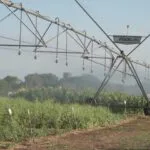 Vitrines Tecnológicas do Pantanal Tech MS trazem inovação a serviço da sustentabilidade no bioma