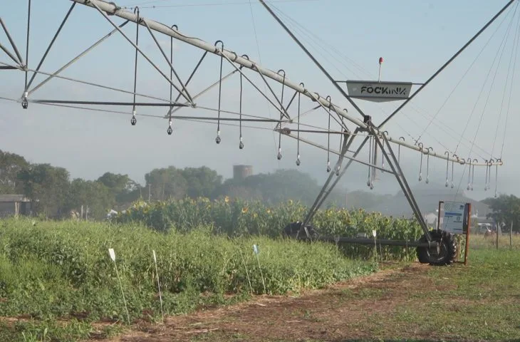 Leia mais sobre o artigo Vitrines Tecnológicas do Pantanal Tech MS trazem inovação a serviço da sustentabilidade no bioma