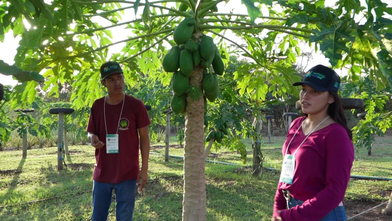 Vitrines Tecnológicas do Pantanal Tech MS trazem inovação a serviço da sustentabilidade no bioma 4 Fruticultura 4 768x432 1