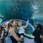 Bioparque Pantanal abre no feriado com atrações educativas e visitação gratuita