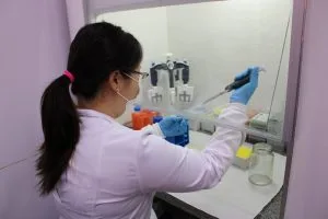 Exames de DNA gratuitos garantem identidade e cidadania em MS 4 WhatsApp Image 2025 06 11 at 08.37.34 300x200 1