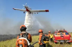 Leia mais sobre o artigo MS facilita licenciamento ambiental para uso do fogo em prevenção a incêndios florestais