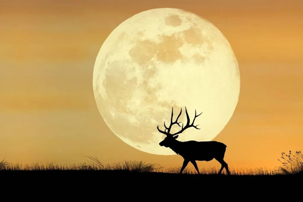 Lua do Veado ilumina o céu do Brasil nesta quinta-feira (10) 2 Imagem do WhatsApp de 2025 07 08 as 11.30.50 2100d489