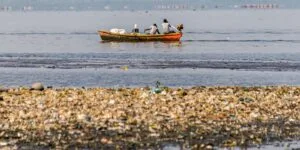 Leia mais sobre o artigo Período de defeso da piracema proíbe pesca comercial até janeiro de 2026