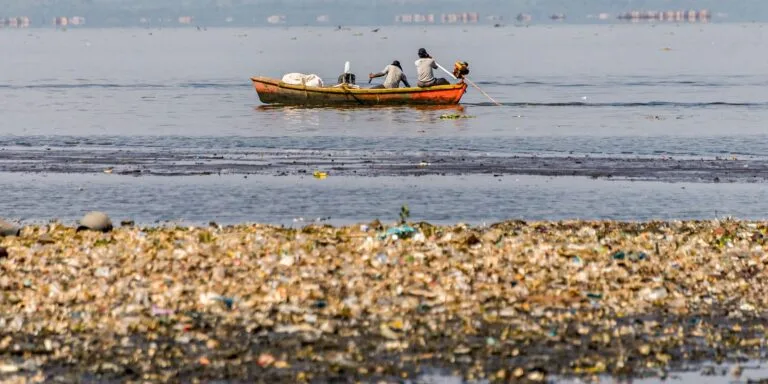 Período de defeso da piracema proíbe pesca comercial até janeiro de 2026