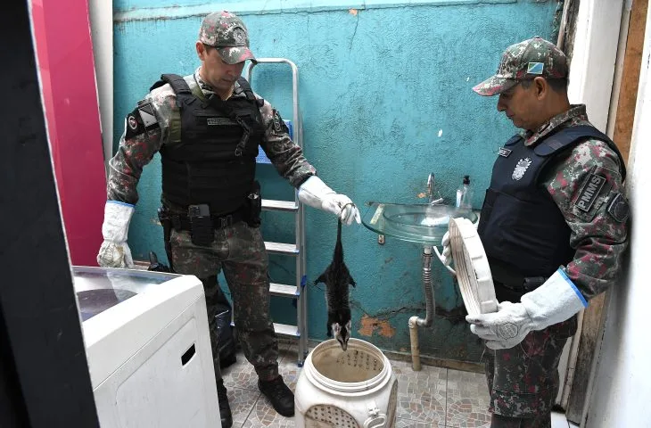 No momento, você está visualizando PMA alerta: animal silvestre não é pet e reforça orientações para casos de aparição na área urbana