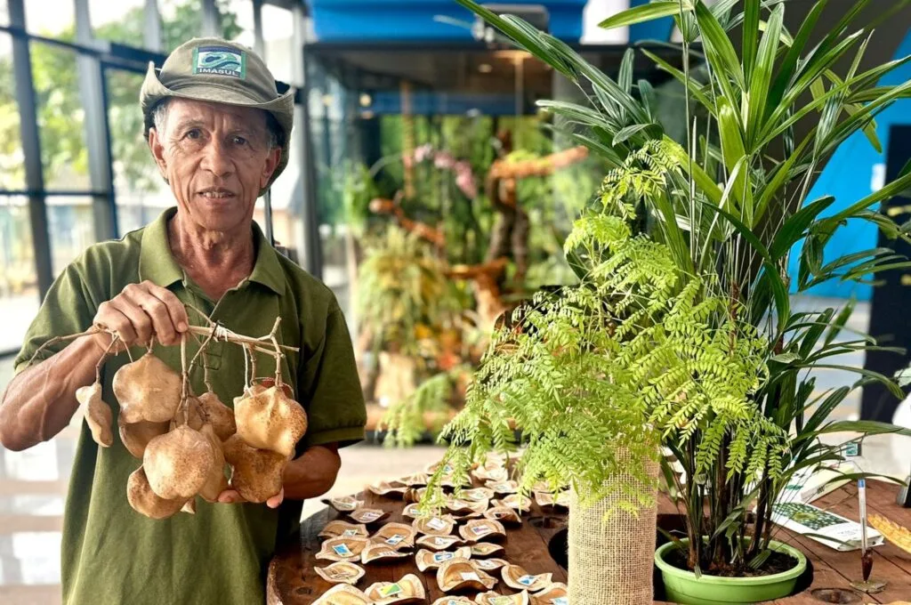 Bioparque Pantanal celebra 3 anos com exposição que resgata memórias afetivas por meio de sementes e frutos do Cerrado 2 WhatsApp Image 2025 07 09 at 15.55.22 1 1536x1020 1
