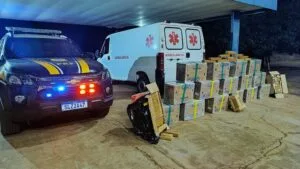 Leia mais sobre o artigo PRF apreende 681 kg de maconha transportados em ambulância em MS