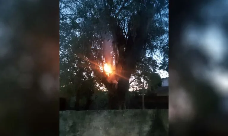 Bombeiros combatem incêndio em terreno baldio no Centro de Ladário; fogo atingiu árvore e exigiu uso de 800 litros de água. Ocorrência reforça alerta para seca