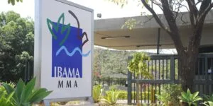 Leia mais sobre o artigo Governo autoriza nomeação de 460 aprovados em concurso do Ibama