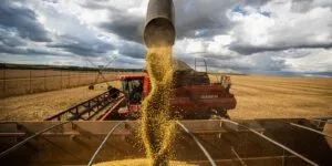 Leia mais sobre o artigo Queda no preço dos alimentos vai permanecer, diz ministro