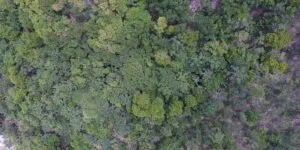 Descubra a vida nos 6 biomas brasileiros em uma exposição digital gratuita com mais de 50 histórias. Uma jornada sensorial e reflexiva sobre nossa conexão com a Terra.