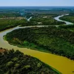 Seca no Pantanal tende a se agravar, apontam especialistas